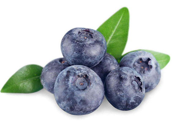 Blueberry Extract