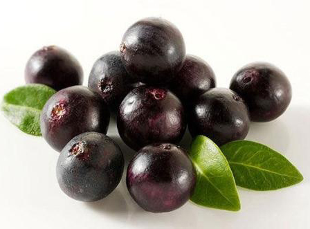 Acai berry Extract 