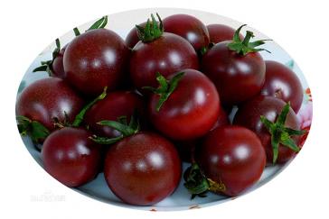 Black Tomato Extract