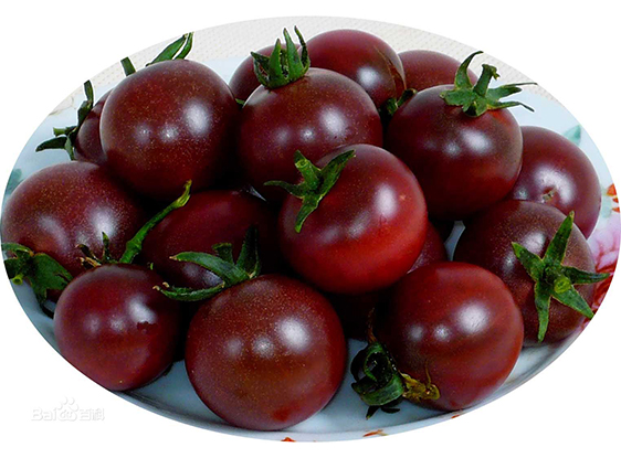 Black Tomato Extract