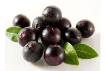 Acai berry Extract 