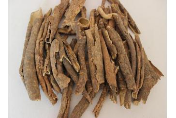 Siberian Ginseng Extract