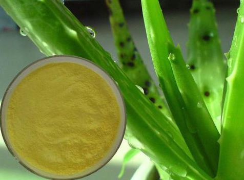 Aloe vera Extract