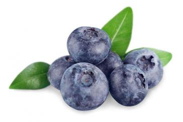 Blueberry Extract