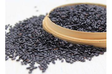 Black rice Extract 