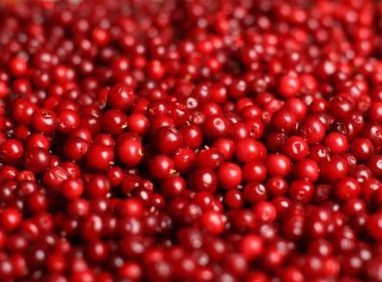 Cranberry Extract