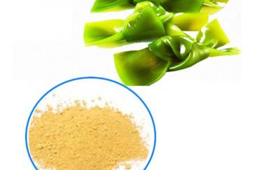 Kelp Powder