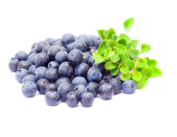 Bilberry Fruit Powder