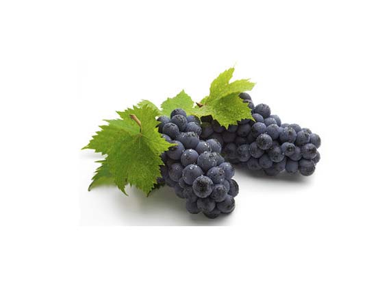 Black Currant Fruit Powder