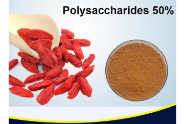 Wolfberry Fruit Powder