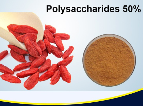 Wolfberry Fruit Powder