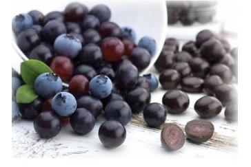 Blueberry Fruit Powder