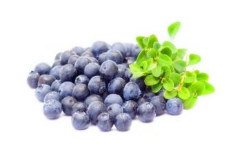 Bilberry Fruit Powder