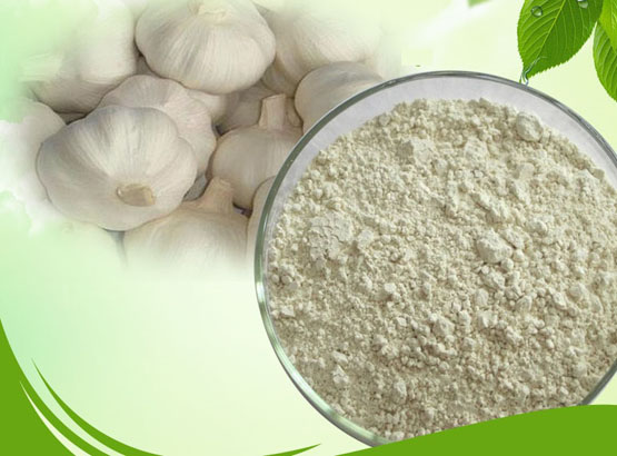 Garlic Powder