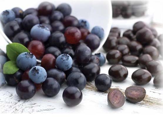 Blueberry Fruit Powder