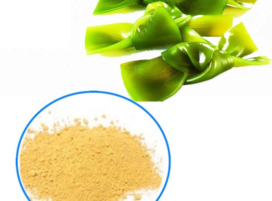 Kelp Powder
