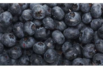 Bilberry Extract