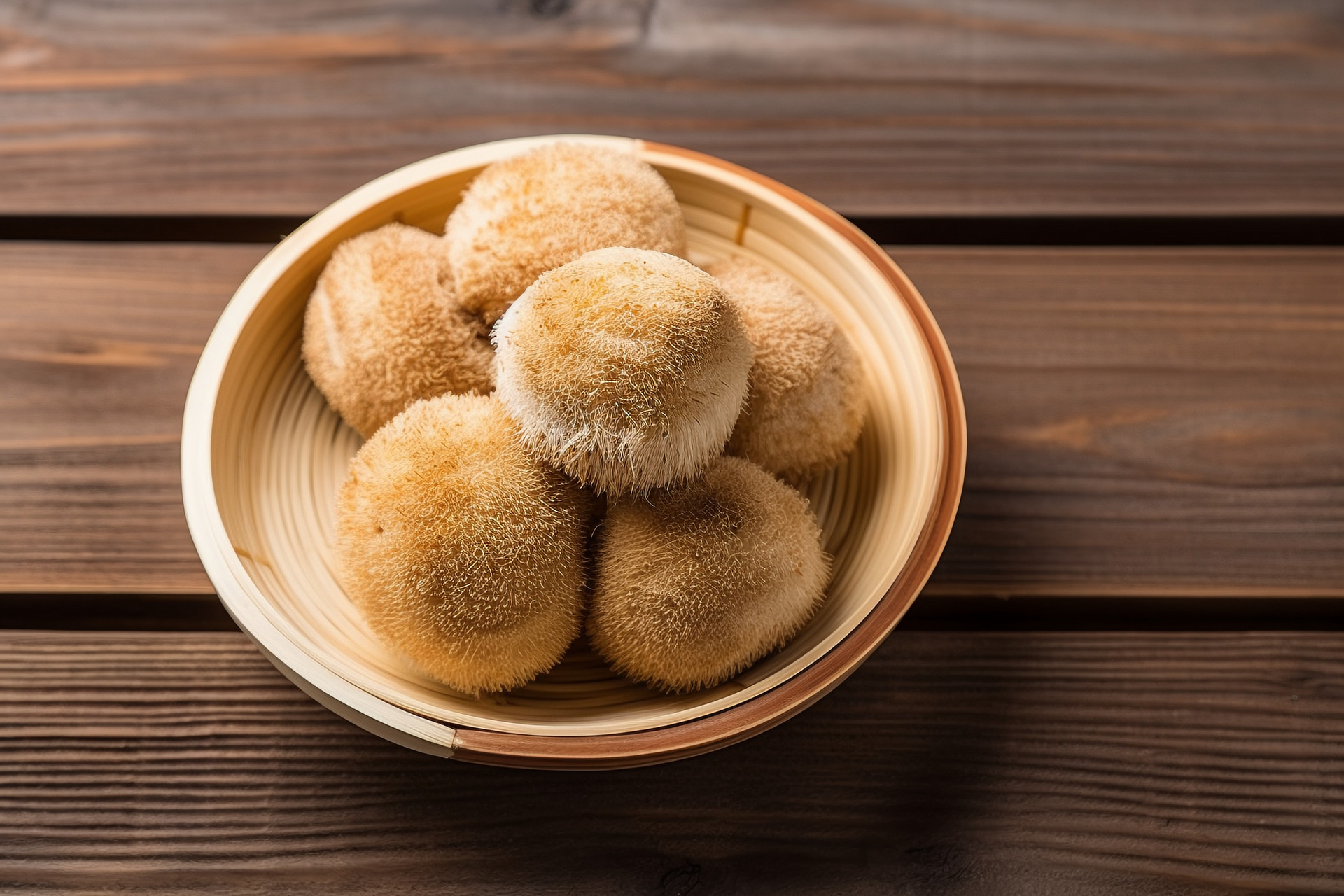 Lion’s Mane Extract 